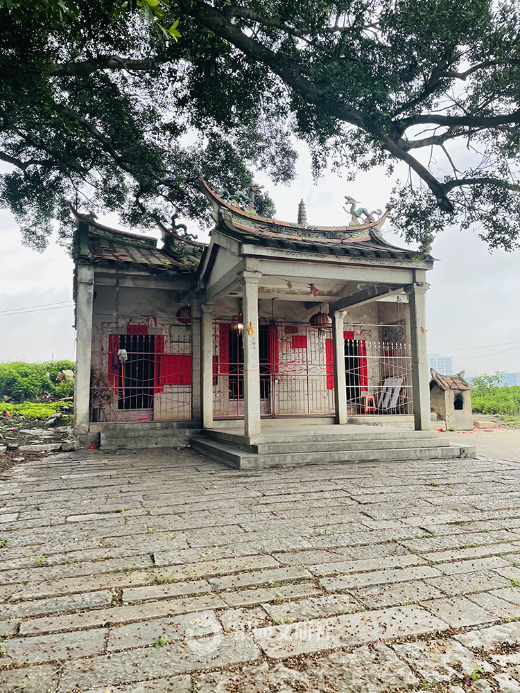 海沧区 海沧街道 慈济南宫