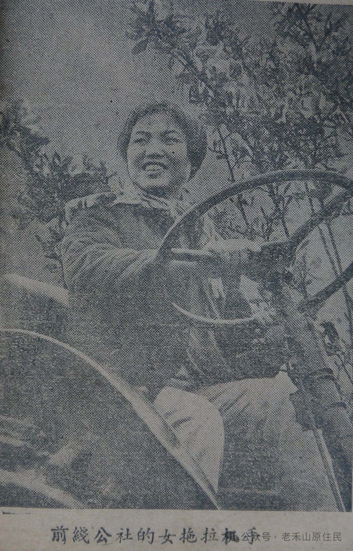 老禾山照片的故事之18 前线公社女拖拉机手